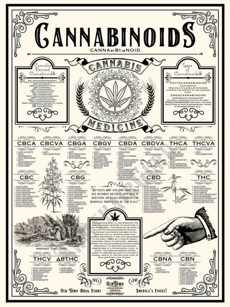 a poster displaying the many types of cannabinoids